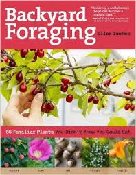 backyard foraging