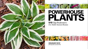 powerhouseplants